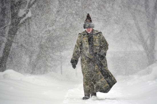 Snowfall in Moscow