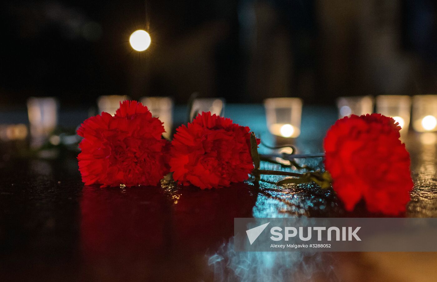 Event to honor memory of Su-25 pilot killed in Syria
