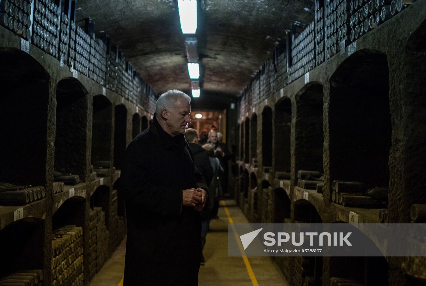 German delegation visits Crimea