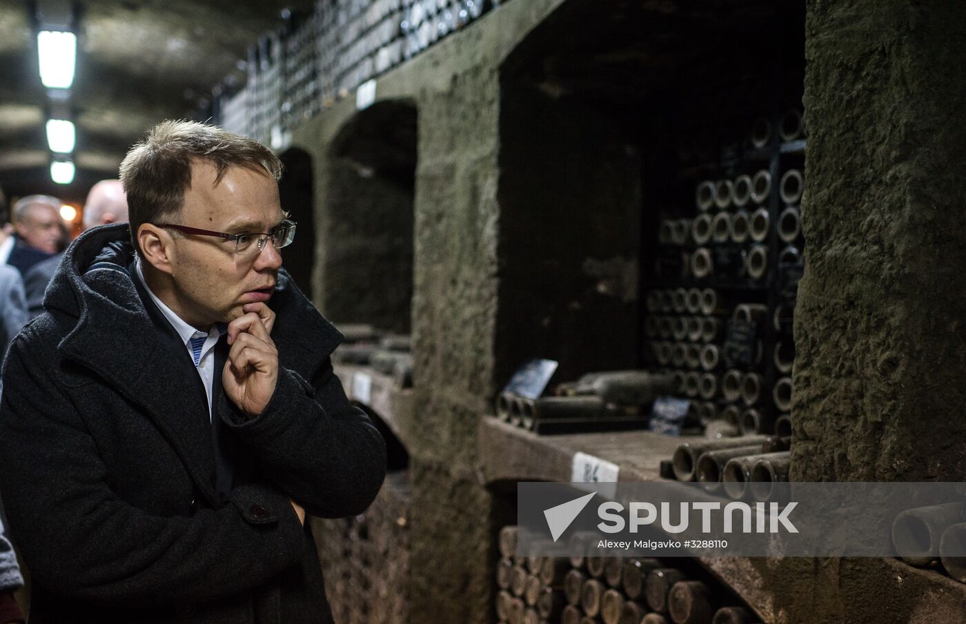 German delegation visits Crimea