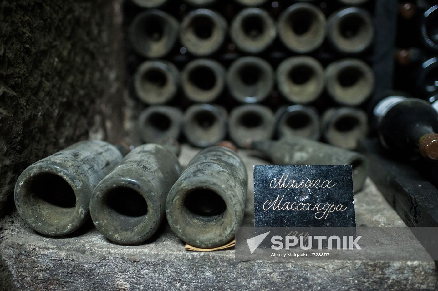 German delegation visits Crimea