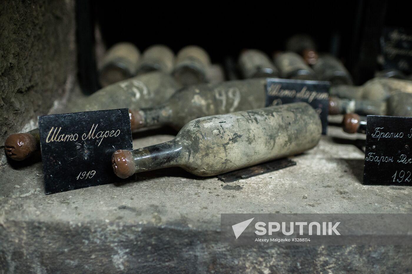 German delegation visits Crimea