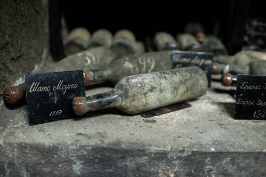 German delegation visits Crimea