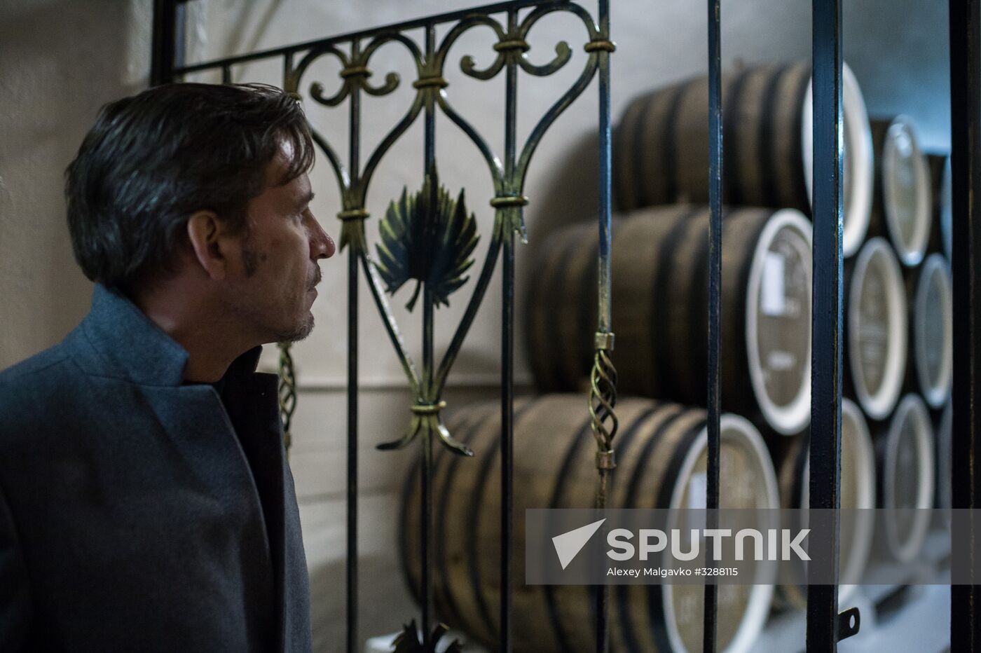 German delegation visits Crimea