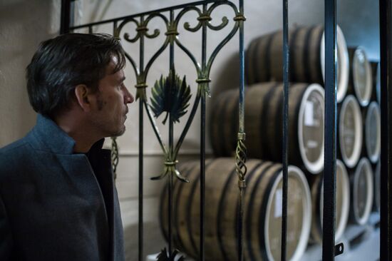 German delegation visits Crimea