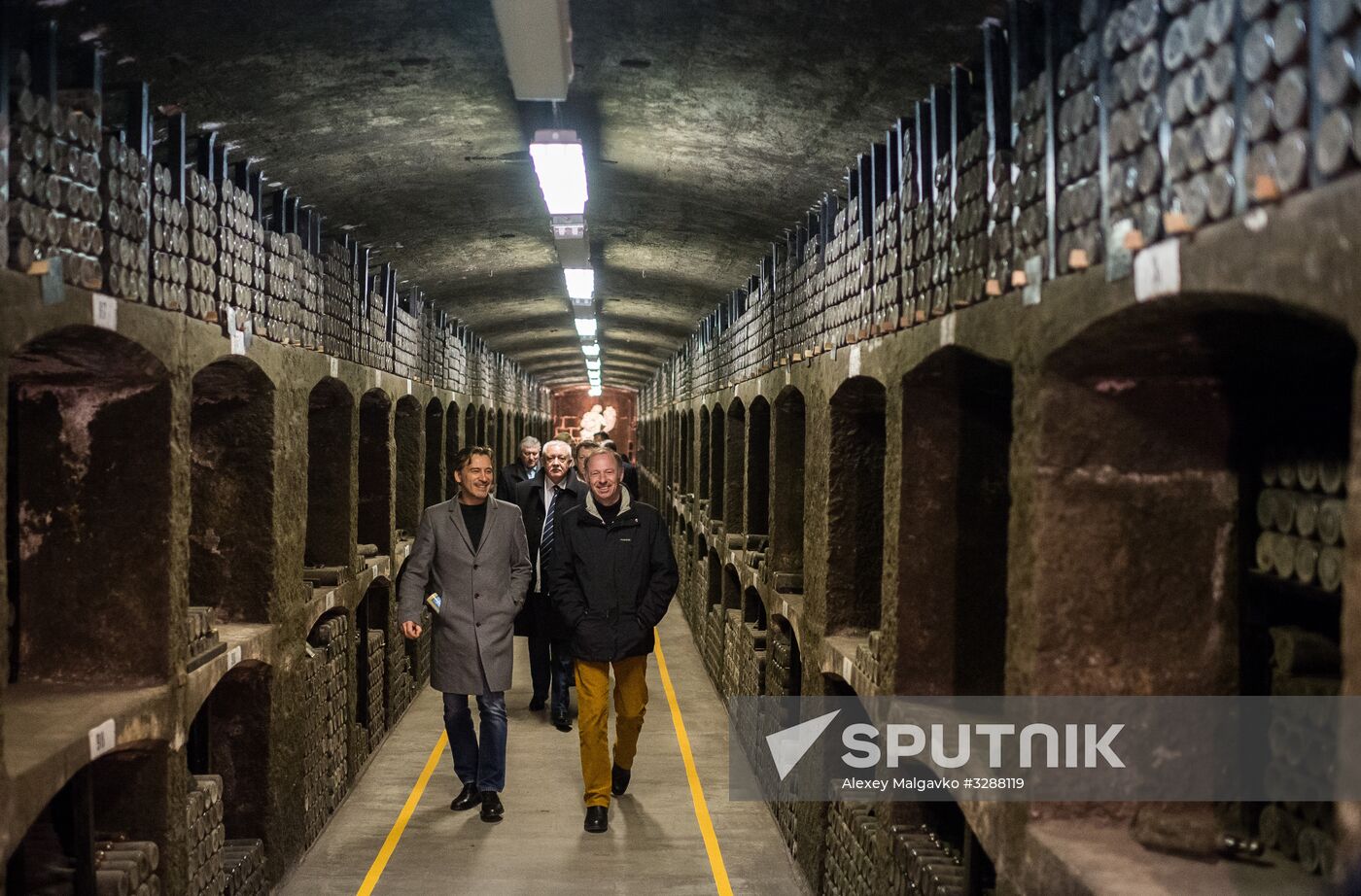 German delegation visits Crimea