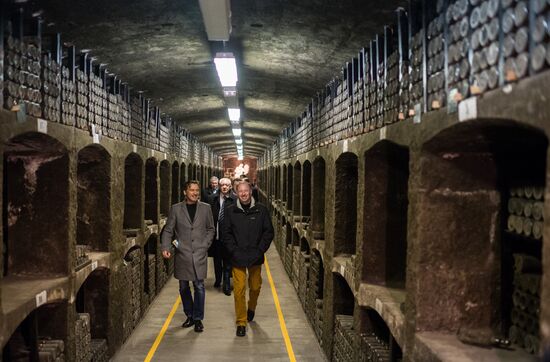 German delegation visits Crimea