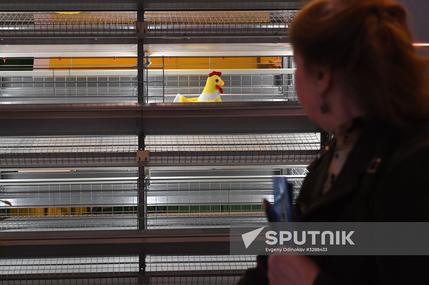 Moscow hosts Agro-Farm 2018 International Exhibition