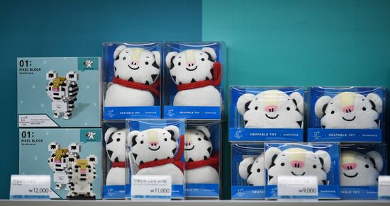 Preparing for 2018 Winter Olympics in Pyeongchang