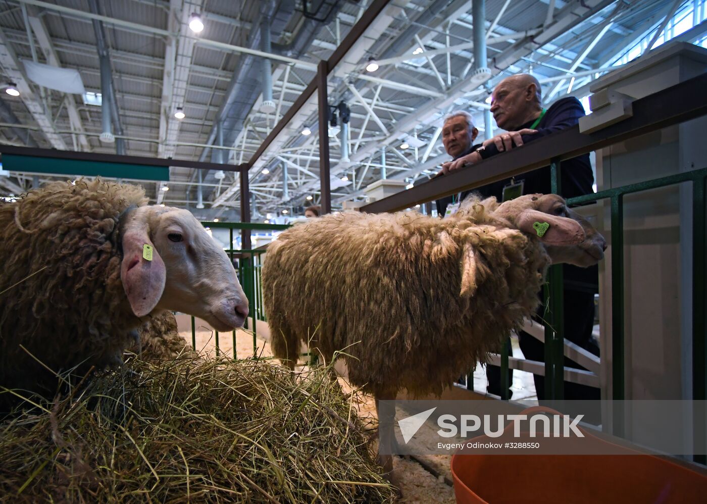 Moscow hosts Agro-Farm 2018 International Exhibition