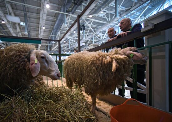 Moscow hosts Agro-Farm 2018 International Exhibition