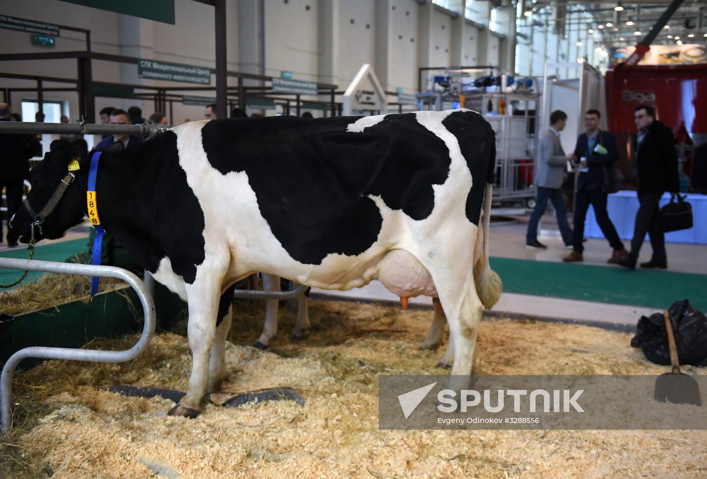 Moscow hosts Agro-Farm 2018 International Exhibition