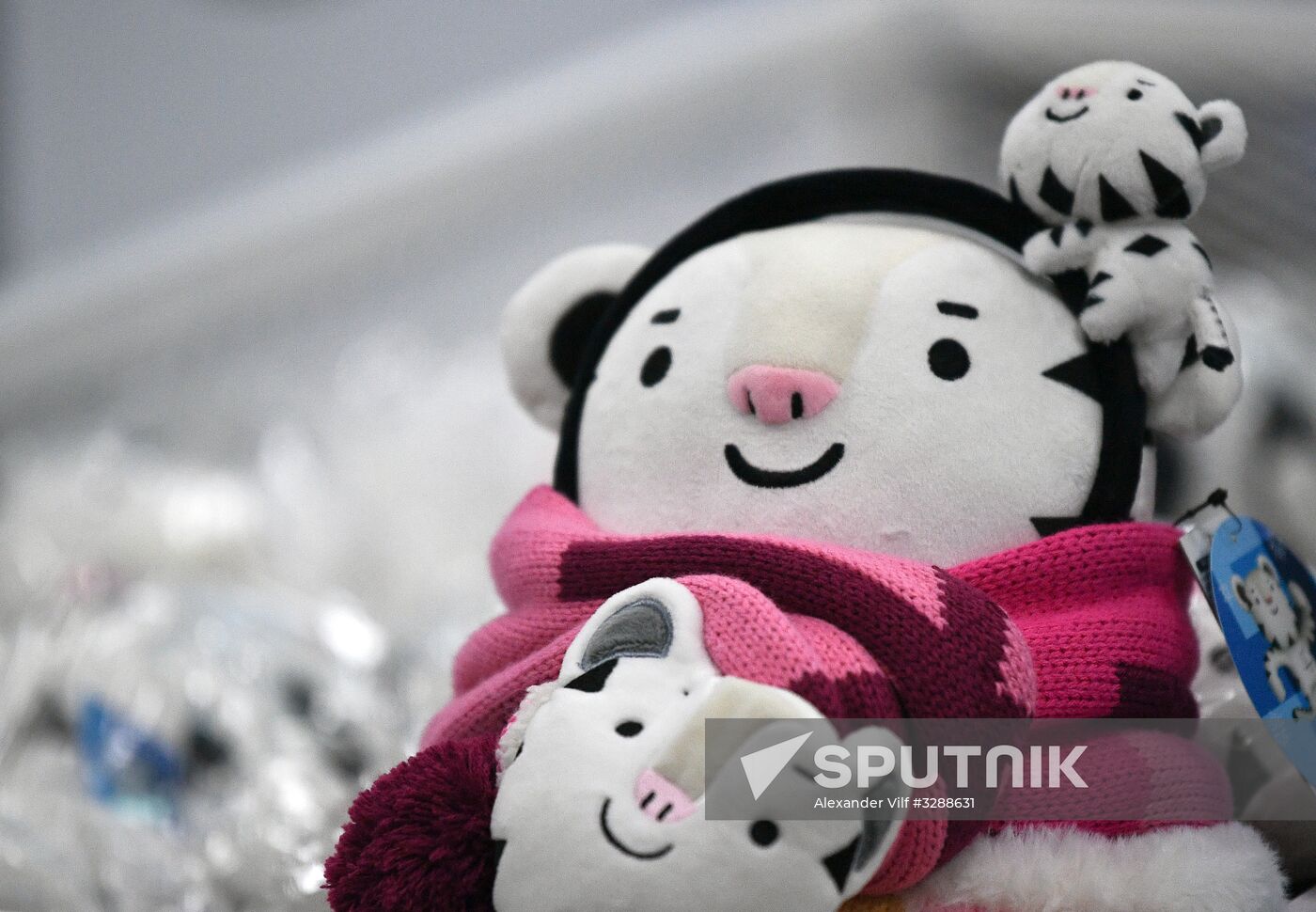 Preparing for 2018 Winter Olympics in Pyeongchang