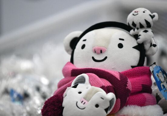 Preparing for 2018 Winter Olympics in Pyeongchang