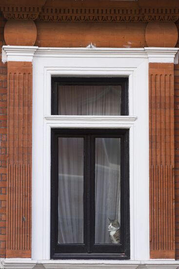 Ecuadorian Embassy in London