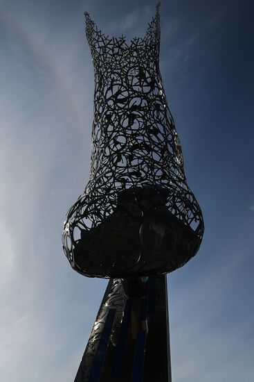 2018 Olympic Games. Gangneung Olympic Park