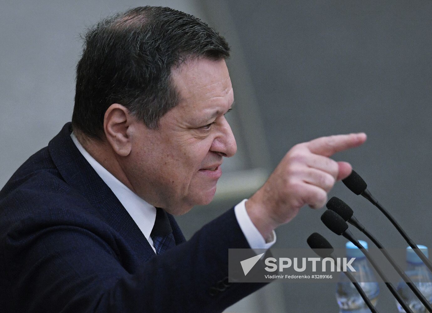 State Duma plenary session