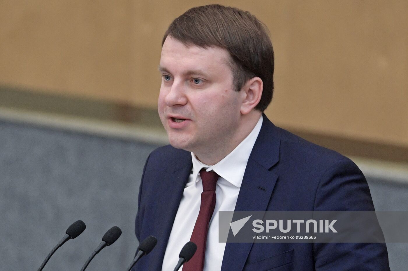 State Duma plenary session