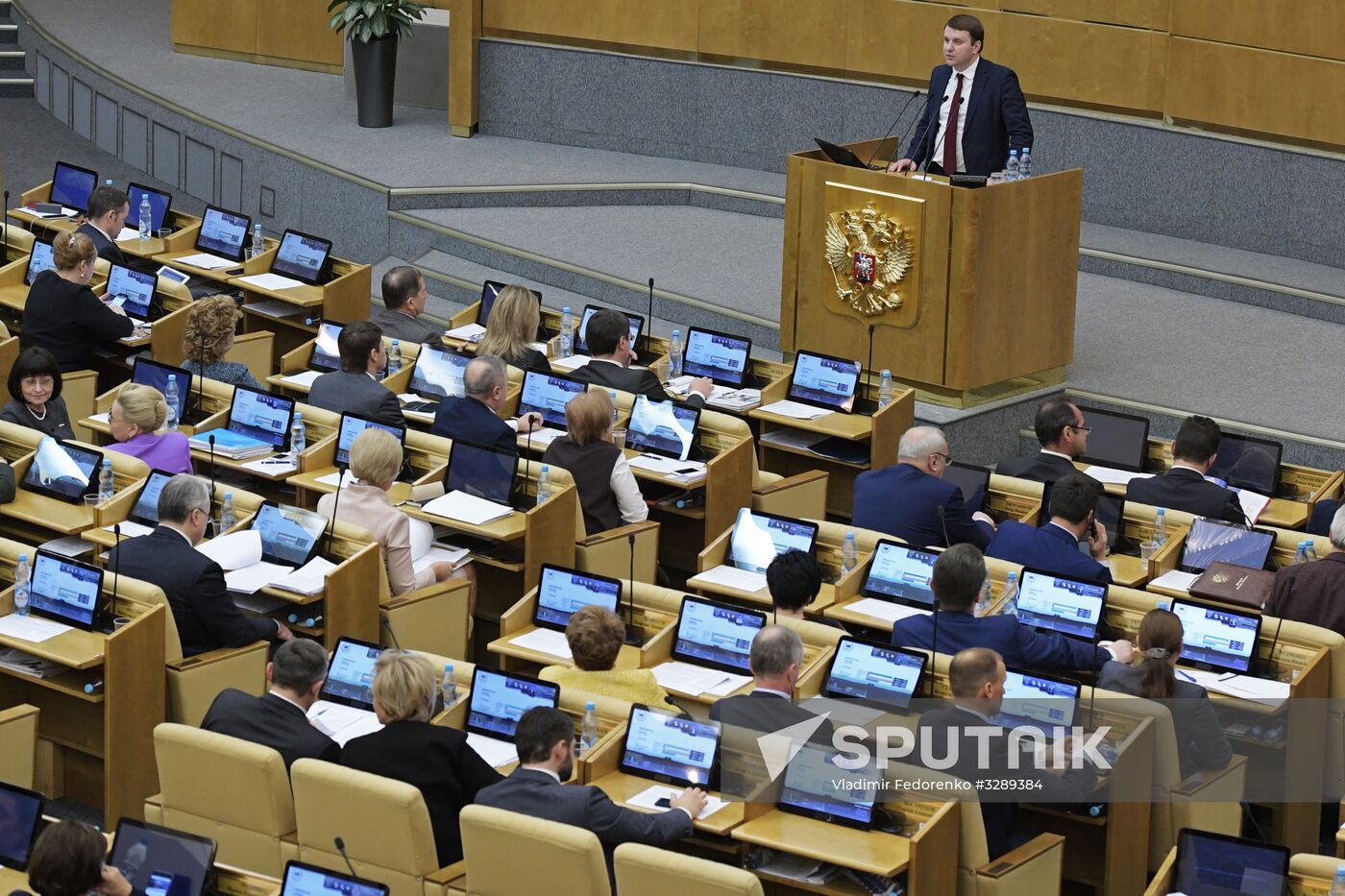 State Duma plenary session