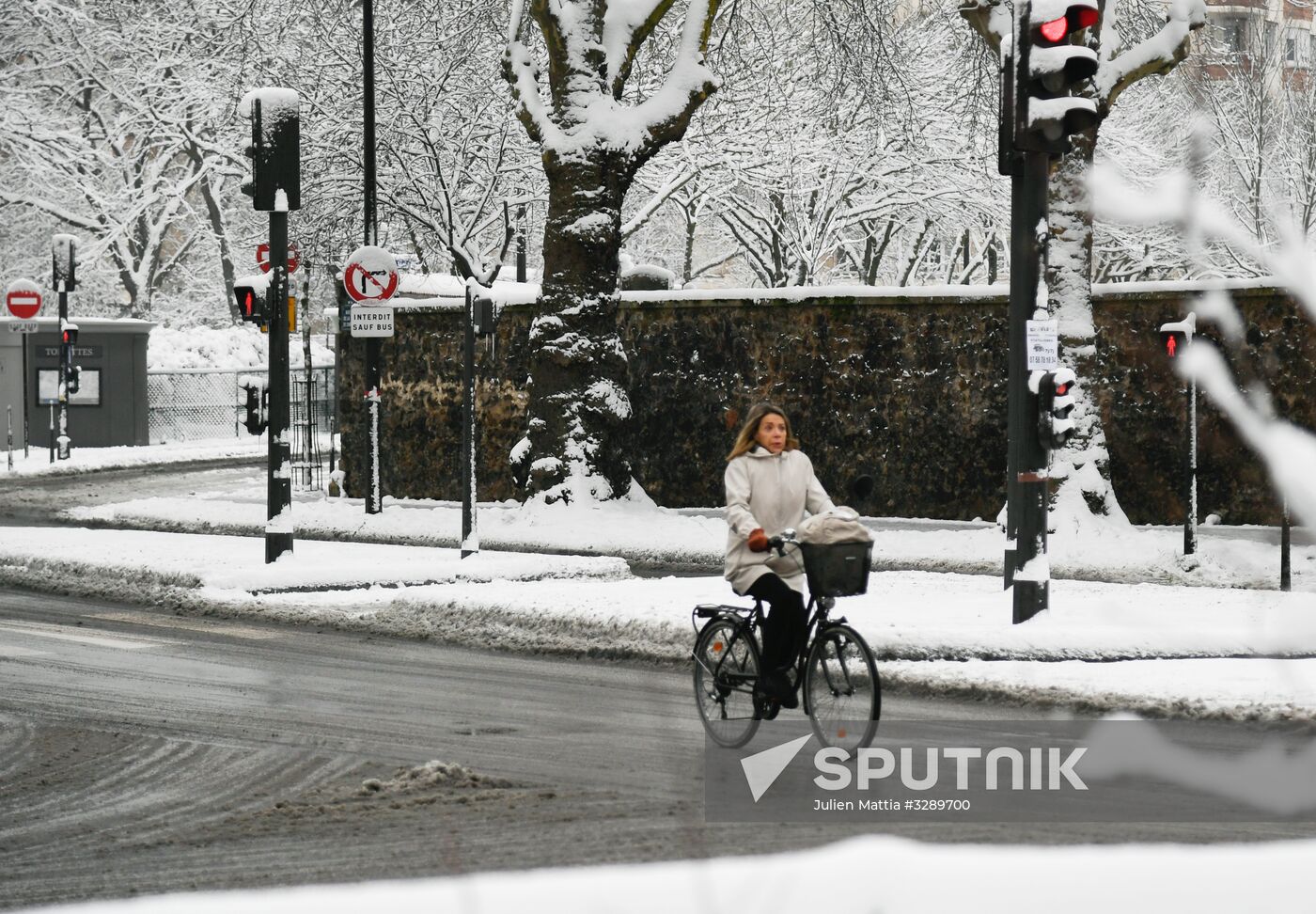 Snowfall in Paris