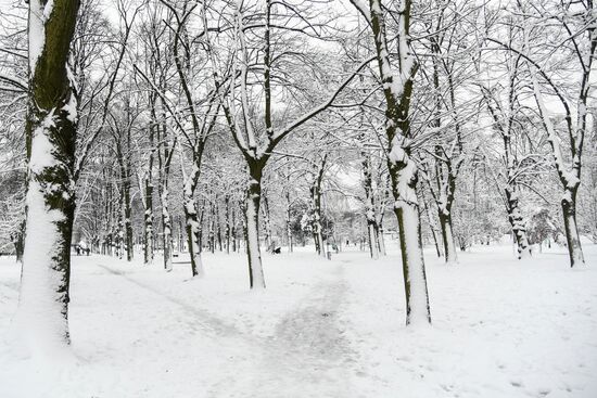 Snowfall in Paris