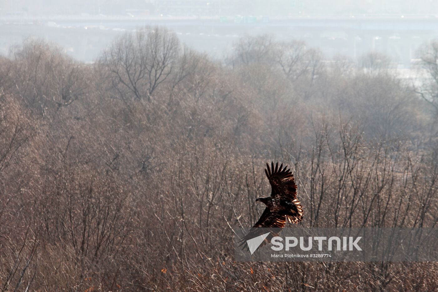 Cities of the world. Seoul