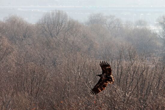 Cities of the world. Seoul