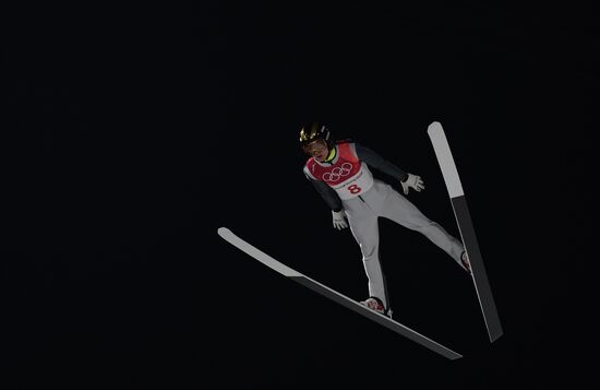 2018 Olympics. Ski jumping. Men's normal hill individual qualification