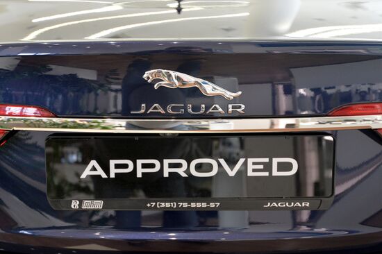 Car dealerships in Chelyabinsk at work