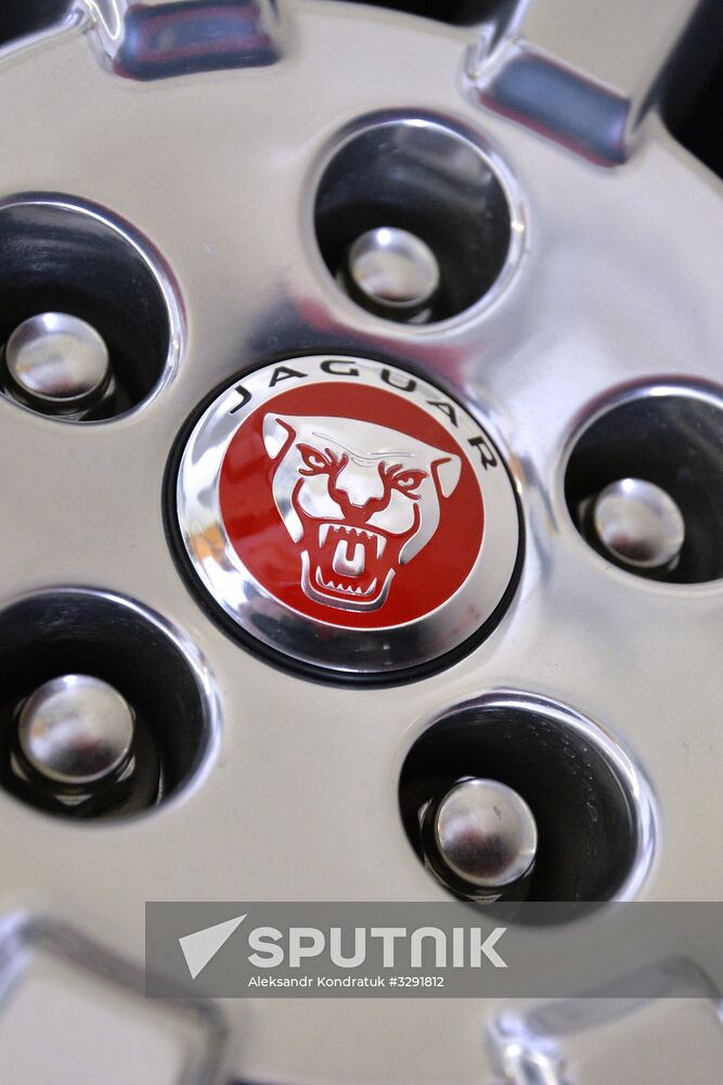 Car dealerships in Chelyabinsk at work