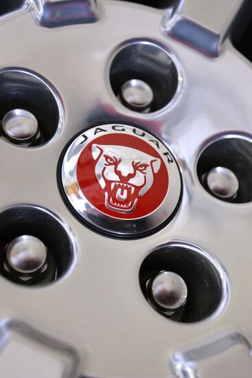 Car dealerships in Chelyabinsk at work