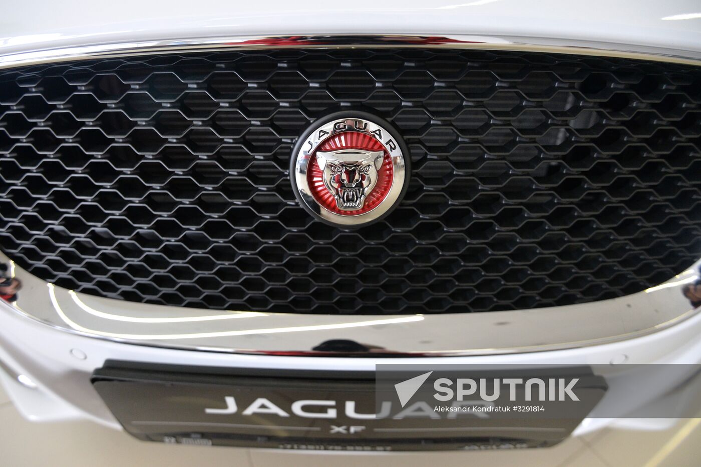 Car dealerships in Chelyabinsk at work