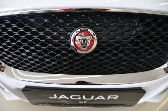 Car dealerships in Chelyabinsk at work