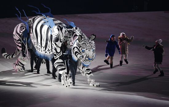 2018 Winter Olympics opening ceremony