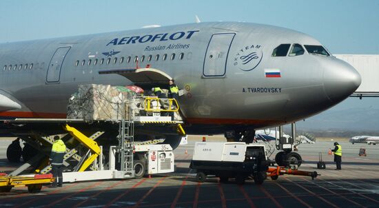 Vladivostok International Airport
