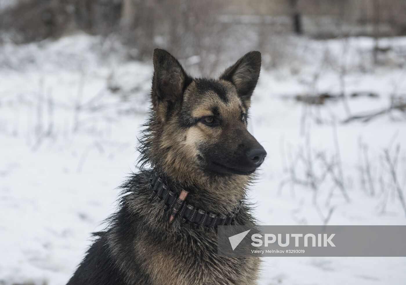 Lugansk region update
