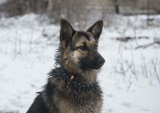 Lugansk region update