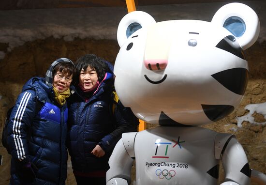 2018 Winter Olympics. Luge. Men. Day two