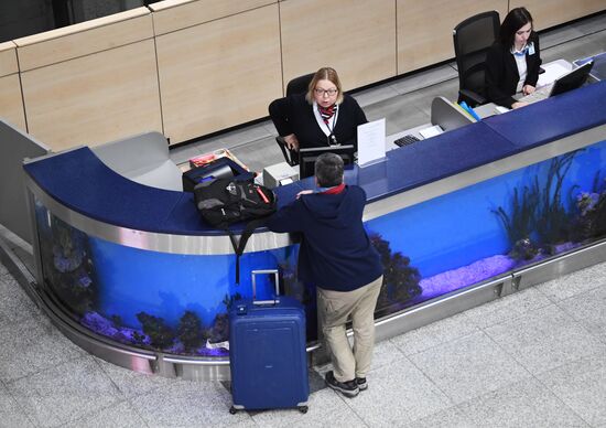 Domodedovo airport update