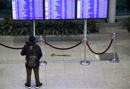 Domodedovo airport update