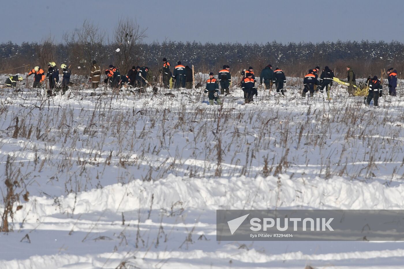 An-148 crashes in Moscow region