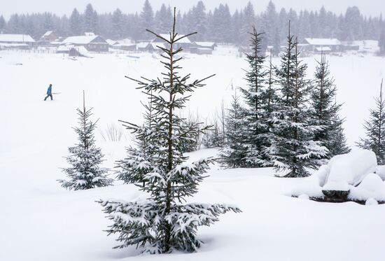 Vodlozersky National Park
