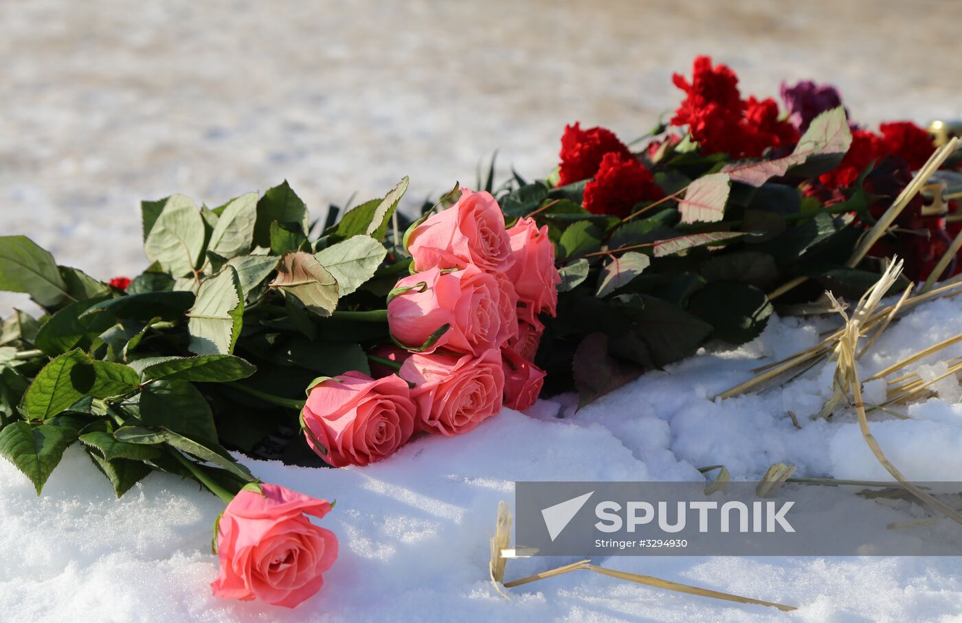 Commemorating victims of An-148 plane crash