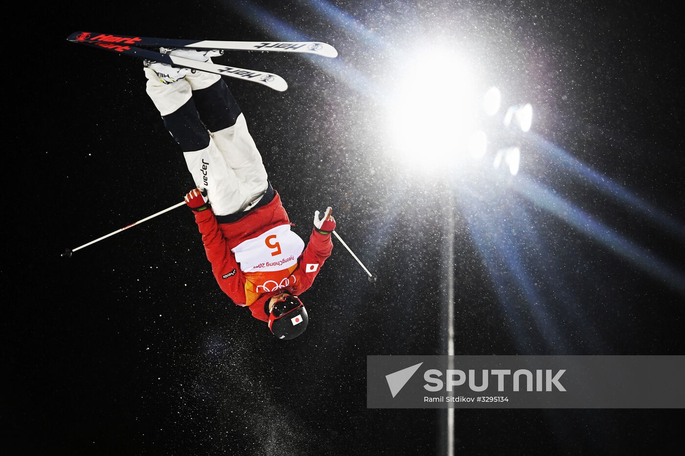 2018 Winter Olympics. Freestyle skiing. Men. Moguls