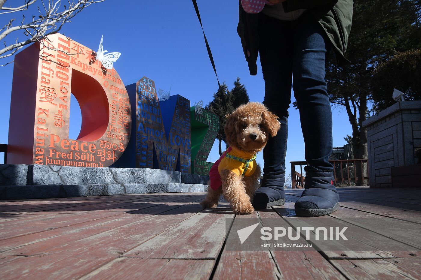 Korean Demilitarized Zone