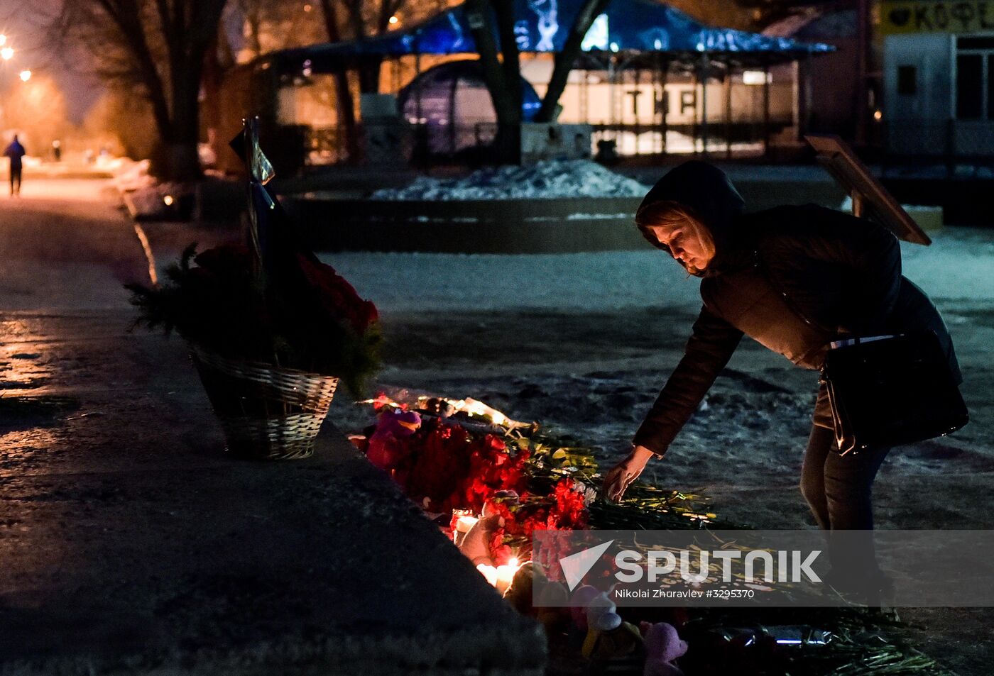 Flowers laid in memory of An-148 crash victims