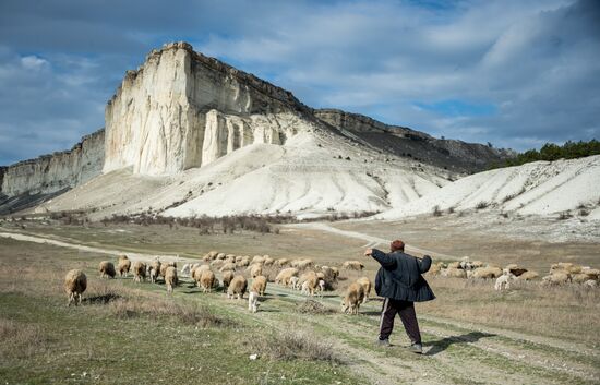 Russian regions. Crimea