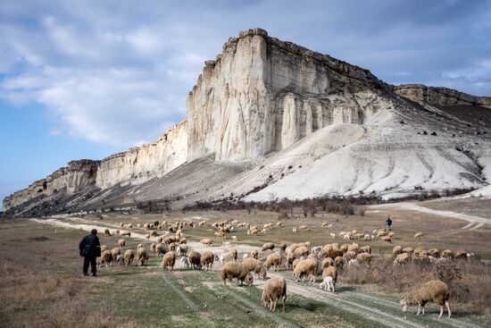 Russian regions. Crimea