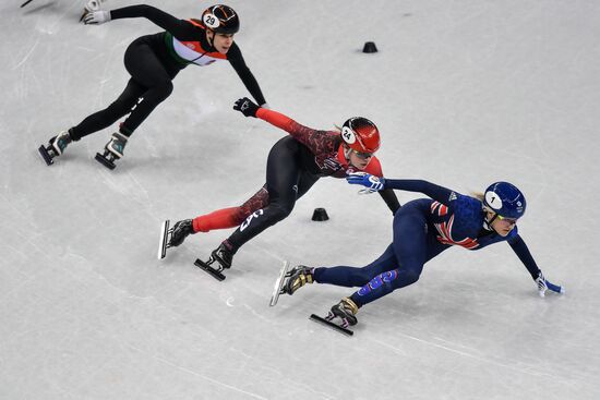 2018 Winter Olympics. Short Track. Day Two