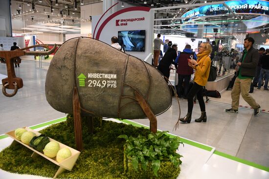 Preparations for Russian Investment Forum in Sochi